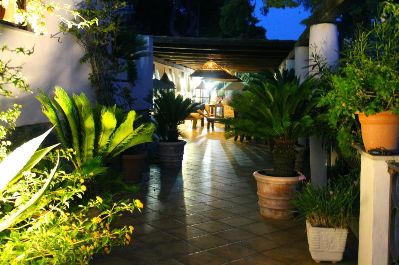 Claro De Lua Circeo B&B San Felice Circeo Dış mekan fotoğraf