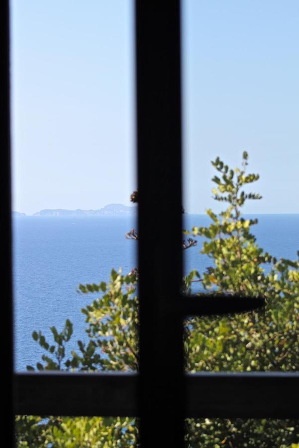 Claro De Lua Circeo B&B San Felice Circeo Dış mekan fotoğraf