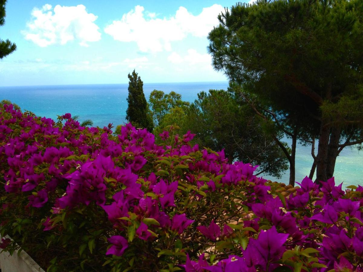Claro De Lua Circeo B&B San Felice Circeo Dış mekan fotoğraf